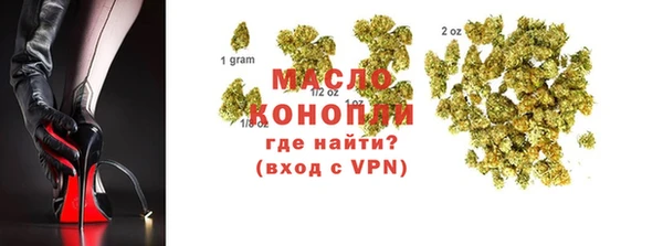 дмт Алексин