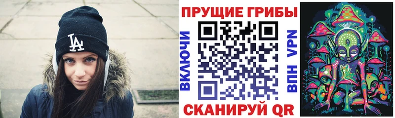 цена   Бабаево  OMG зеркало  Псилоцибиновые грибы Magic Shrooms 